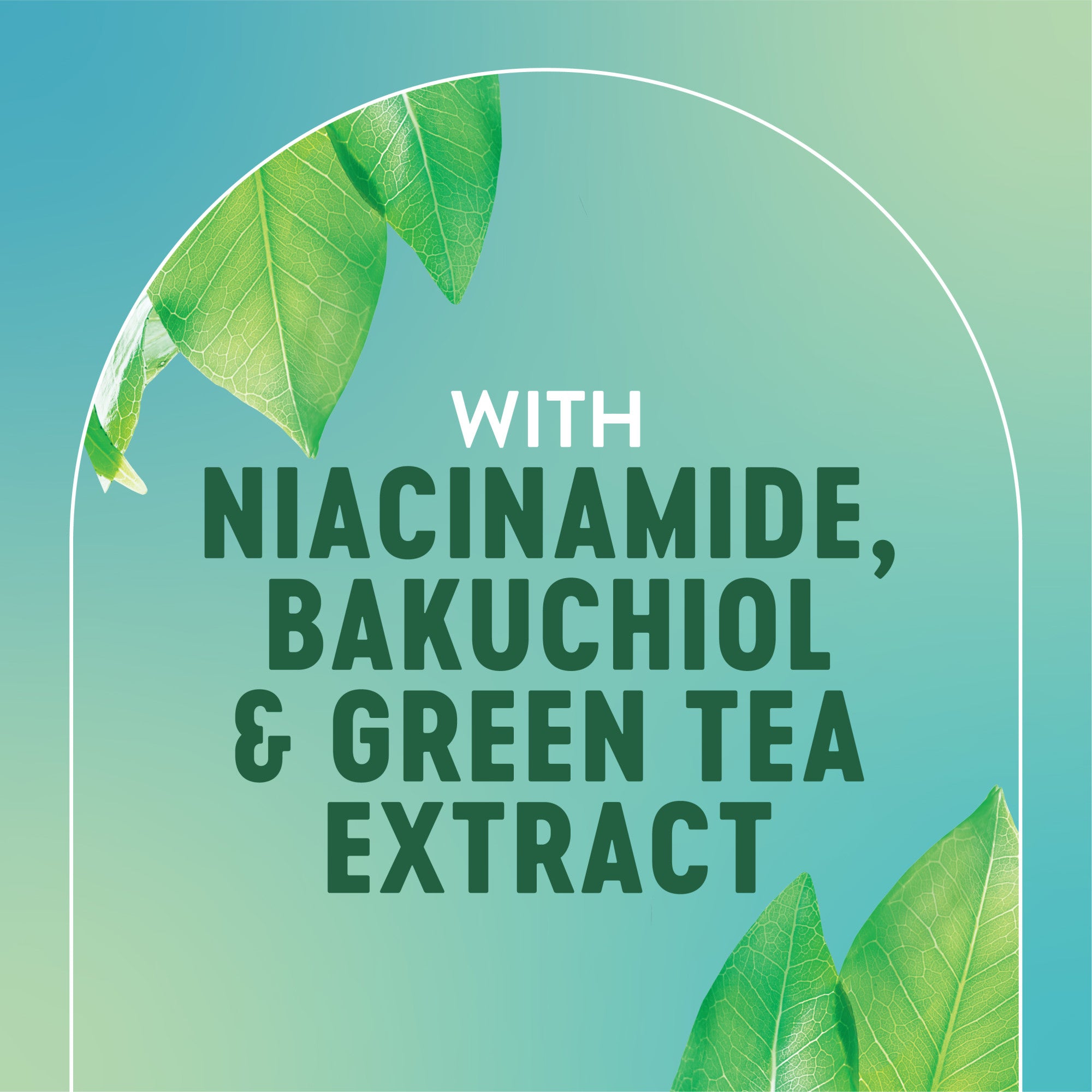 With niacinamide, bakuchiol and green tea extract.